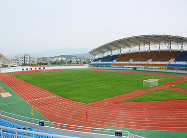 2009