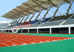 2007